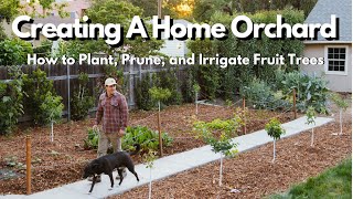 How to Plant Prune and Irrigate Fruit Trees EVERYTHING YOU NEED TO KNOW [upl. by Yenahpets503]