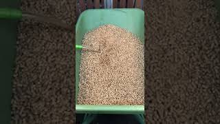 Strohpellets – die Alternative zum Langstroh  Straw pellets – the alternative to long straw [upl. by Fokos]