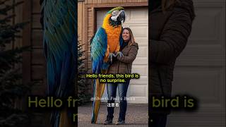 Macaw BirdsStunning Facts You Never Knew facts shorts [upl. by Luapnaes323]