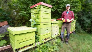 Day in the Life of a Professional Beekeeper [upl. by Yenetruoc]