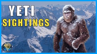 Yeti Uncovered Top 10 Most Compelling Abominable Snowman Sightings [upl. by Nytsirt797]