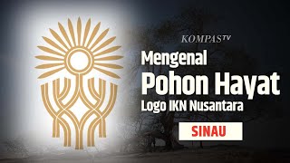 Presiden Jokowi Pilih Pohon Hayat Sebagai Logo IKN Nusantara Ini Artinya SINAU [upl. by Ajam]