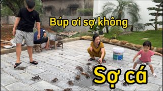 Trời Mưa Cường Lên Rừng Bắt Cua Đam Về Cho Cả Nhà Ăn [upl. by Anilrahc975]