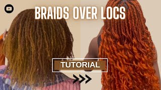 How to make braids over locs tutorial  Beginner friendly tutorial  Braiding In real time [upl. by Nacnud]