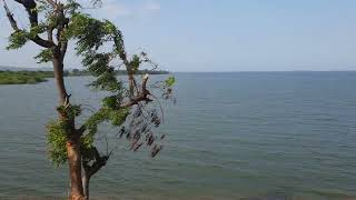 Almatti Dam on the Krishna River [upl. by Akinahc]