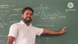 Explain Blood Plasma  Albumin  Globulin  alpha Beta amp Gamma and origination [upl. by Selemas]