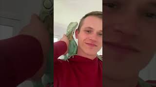 The Man Saves Green Iguana From The Jaws of a Ferocious Dog iguana lizard shorts [upl. by Jourdan]