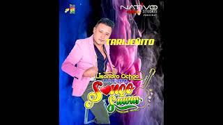 LISANDRO OCHOA TEMA TARIJEÑITA [upl. by Rehctelf]