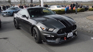 Shelby GT350 start up revs and acceleration [upl. by Arak]