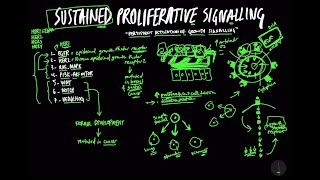 Sustained Proliferative Signalling  LearningAboutCancer [upl. by Nahtnoj591]