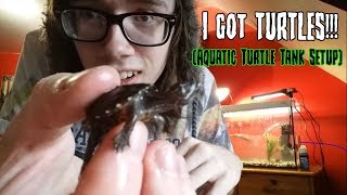 I GOT TWO BABY MUSK TURTLES Aquatic tank setup  NimBruh [upl. by Puri92]