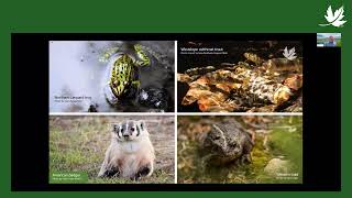 A helping hand for wetlands  NatureTalks Webinar [upl. by Eilac]