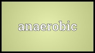 Anaerobic Meaning [upl. by Ariait]