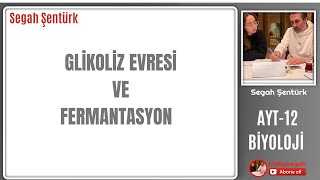 GLİKOLİZ VE FERMANTASYON  AYT BİYOLOJİ  12 BİYOLOJİ  YKS 2025 [upl. by Girand]