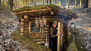 7 DAYS of building Survival Shelters  Bushcraft Earth Hut log and moss walls ASMR [upl. by Nelrsa]