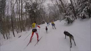 2017 IFSS World Championships Relay Race first leg 1 dog skijor [upl. by Robma776]