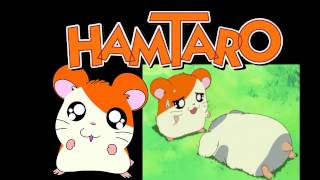 Hamtaro Hamtaro conoce a Manchitas Take Castellano [upl. by Niel]