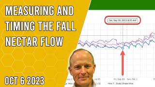 Measuring and Timing the Fall Nectar Flow  Jacksonville FL Zone 9a [upl. by Aramoiz]