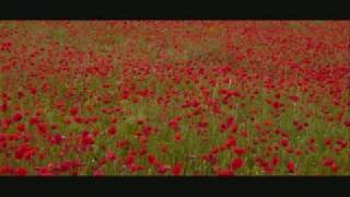 Willie Mcbride  Green Fields Of France [upl. by Iams593]