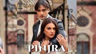 PinjraNew Song Asim riaz amp Himanshi khurana new song Asim riaz new song PinjraHimanshi khurana [upl. by Antonino]