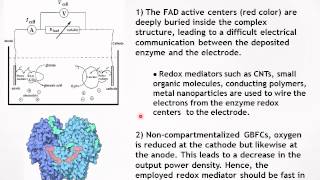 BampB GlucoseO2 biofuel cell based on enzymes redox mediators amp multiplewalled carbon [upl. by Nancie996]