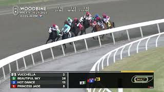 Woodbine Tbred November 25 2023 Race 5 [upl. by Leihcar]