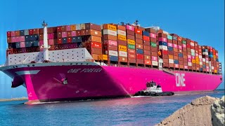 4K SHIPSPOTTING LOS ANGELES LARGE CONTAINER SHIPS  May 2024 [upl. by Ainala680]