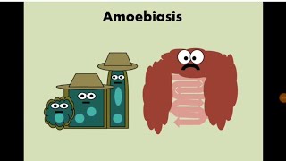 Entamoeba histolytica Amoebiasis الأميبا  الدوسنتاريا [upl. by Attelocin]