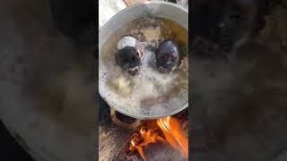 🇧🇷 Um de nossos pratos mais deliciosos de meu Brasiiuu 🥰🥰🤤🤤  A Sopa do macaco 🐒🐵🤤 [upl. by Secunda804]