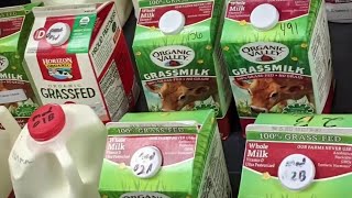 Consumer Reports’ tests find ‘forever chemicals’ in some milk [upl. by Aerbas]