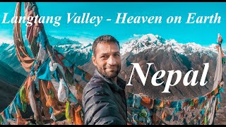 Langtang Valley Trek in Nepal  Heaven on Earth  A Complete Trekking Details [upl. by Nairbo]