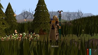 Swan Song wrapup  OSRS [upl. by Gustavus59]