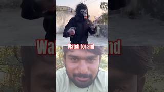 O Susto Gorilla 🦍😰 shortvideo cartoon comedy Sunil 45dey [upl. by Etnovert280]