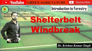 Shelterbelt and windbreak [upl. by Nonnag992]