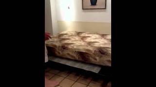 1004 Changing the futon from sofa to bed and back [upl. by Mahgirb]