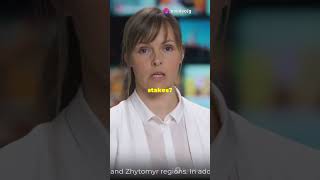 🌍 Zelenskyys Victory Plan Russias NATO Warning  The Twentys Show ⚠️ middleeastconflict facts [upl. by Redlac]