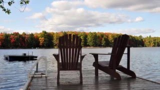 Muskoka Cottage for Rent 353 on Bigwind Lake near Bracebridge Ontario [upl. by Aramad]