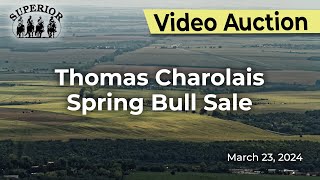 Thomas Charolais Spring Bull Sale [upl. by Hamo]