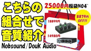 福袋 NO 4 A1  NS13G MAX ■ Nobsound Douk Audio [upl. by Bary]