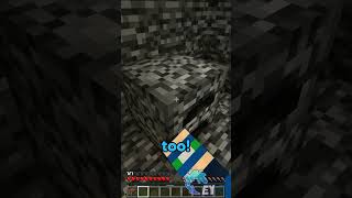 This Youtuber Trapped Me in a Bedrock Igloo… minecraft [upl. by Hedva]