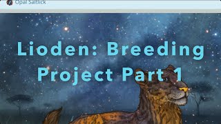 Lioden Breeding Project Part 1 [upl. by Henriette]