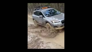 subaru in the mud awd awesome mudslinging cars [upl. by Rodgiva]