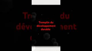 Tremplin du développement [upl. by Onoitna]