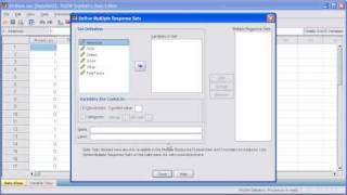 25 Multiple Response Define Variable Set PASW SPSS Statistics v17 video [upl. by Garretson973]