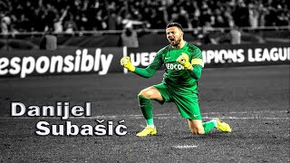 Danijel Subašić Monaco  Best Saves  Amazing Saves [upl. by Monjo]