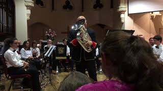 Macushla  Dermot MacMurrough  performed by Steven Mead and Waterbeach Brass 14418 [upl. by Utas]