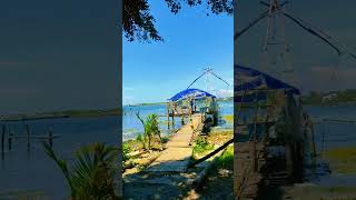 Chinese fishing net fort Kochi 📍fishingnet fishing fortkochi travelshortvideo [upl. by Lime538]