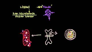 Lösemi Nedir Sağlık Bilgisi ve Tıp [upl. by Clementia]