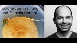 Ectomycorrhizal fungi  the relationships involved in genetic control  Dr Jonathan Plett [upl. by Orban]