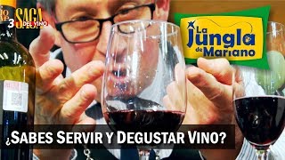 ¿Sabes servir y degustar tu vino  Saga del Vino 3 [upl. by Eneloc36]